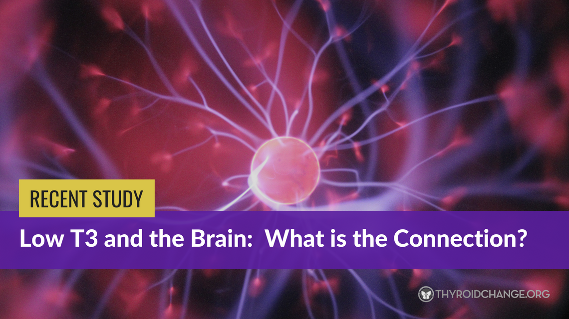 Latest Finding in Low T3 Syndrome from the Field of…Neuroscience?